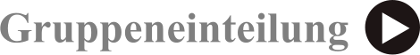 Gruppeneinteilung